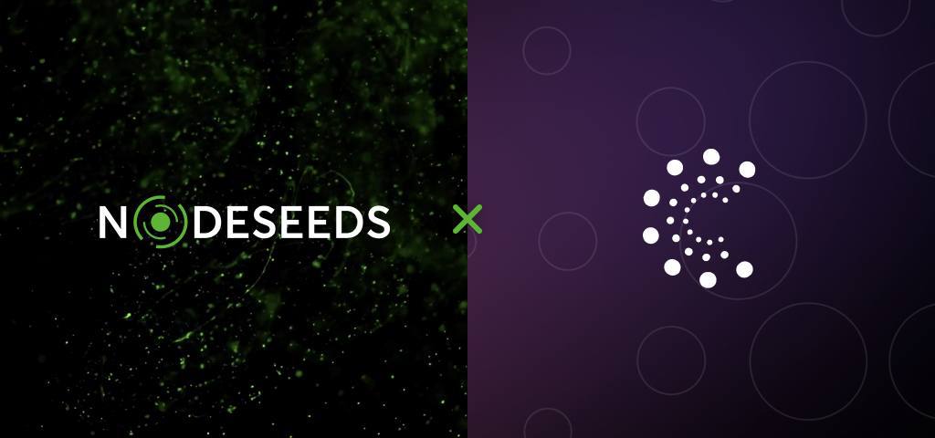 Nodeseeds Launches Three-Tier Membership to Ensure Transparency and Fair Allocation of Projects