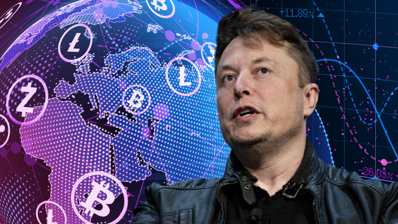 Tesla CEO Elon Musk Opposes Governments Regulating Crypto, Says They Should 'Do Nothing'