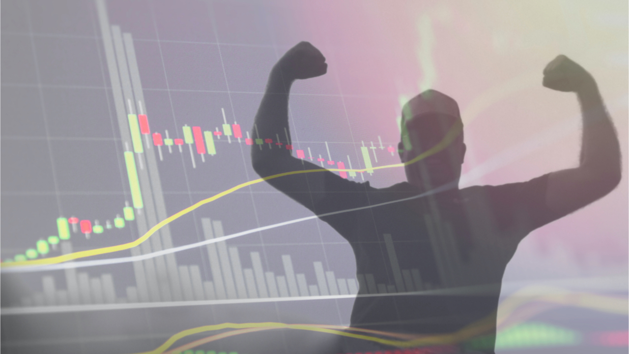 12-Month Mega Gains — A Dozen Crypto Assets Gained More Than 7,000% Since Last Year