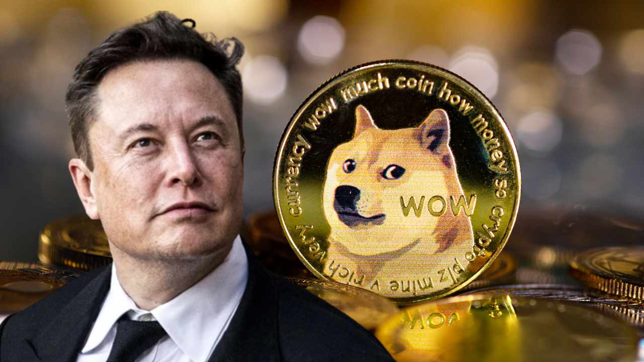 Tesla CEO Elon Musk Reaffirms Dogecoin 'Has Potential as a Currency' as Twitter Deal Is Put on Hold