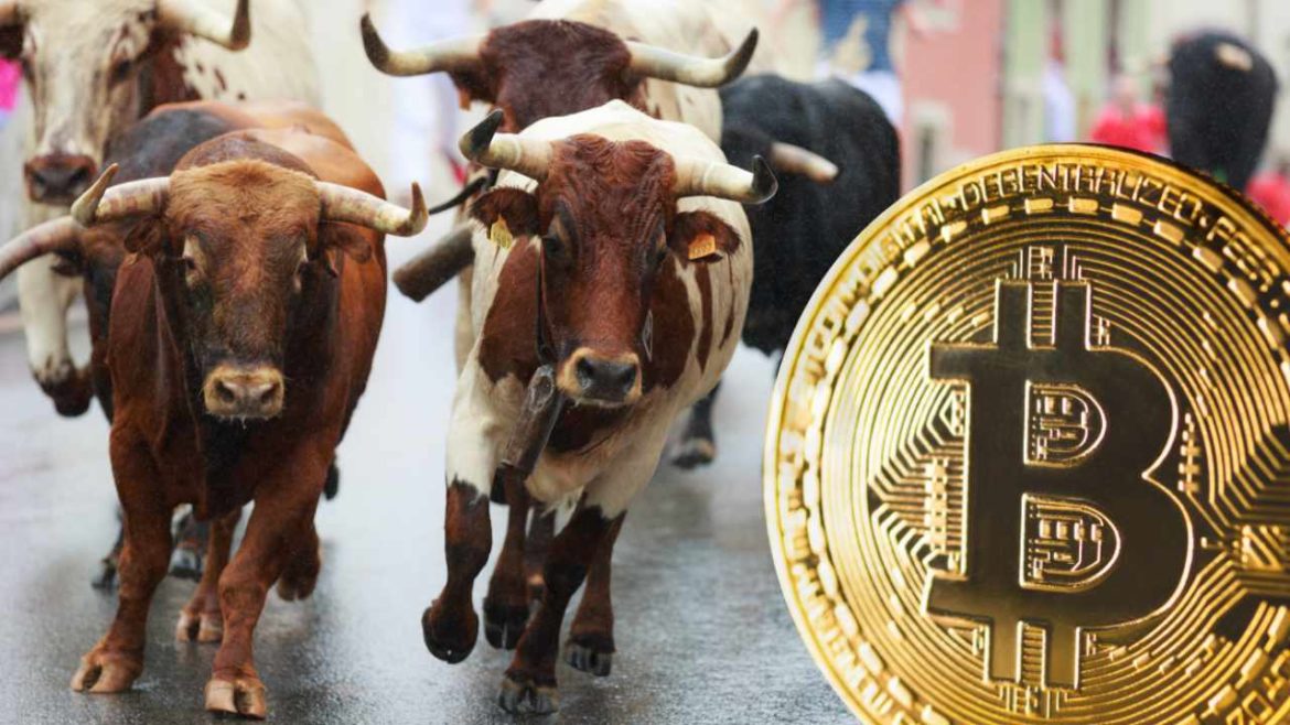 Devere Group Predicts a Bull Run and ‘Significant Bounce’ for Bitcoin in This fall